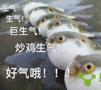 钟元不止一个 1亿新生代农民工未婚现状与业余生活剖析